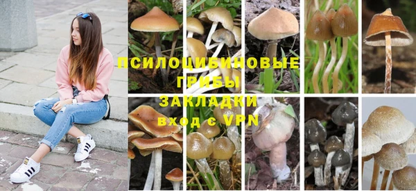 амфетамин Алексеевка